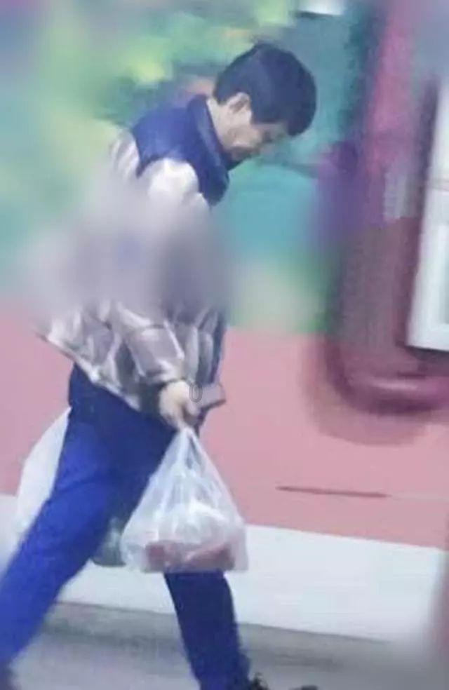 《幻兽帕鲁》波娜兔捕获攻略
